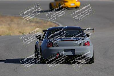 media/Nov-19-2023-Extreme Speed (Sun) [[bd0eec5490]]/Red/Back Shots/